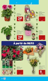 Offre Bouquet De Fleurs dans le catalogue Aldi du moment à la page 23