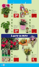 Promos Bulbes à fleurs dans le catalogue "XXL DÉCOUVREZ NOS MÉGAS FORMATS" de Aldi à la page 23