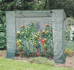Serre spéciale tomates - Les Compagnons des saisons à Villiers-le-Bel Serre spéciale tomates en promo chez Les Compagnons des saisons Villiers-le-Bel à 49,90 €