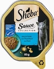 Sauce Collection im Angebot bei Kaufland in Remscheid Sauce Collection Angebote von Sheba bei Kaufland Remscheid für 0,39 €