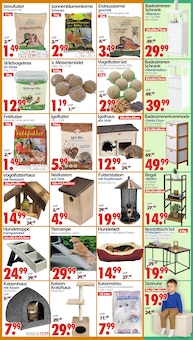Katzenstreu im aktuellen Wreesmann Prospekt (Bremerhaven) Katzenstreu im Wreesmann Prospekt "DEIN SAISON- & SONDERPOSTENMARKT!" mit 12 Seiten (Bremerhaven)