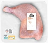 Frischer Puten-Schenkel im Angebot bei Penny in Bornheim Frischer Puten-Schenkel Angebote von Mühlenhof bei Penny Bornheim für 4,44 €