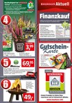 Feuerschale Feuerschale