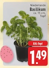 Basilikum bei EDEKA im Langerwehe Prospekt für 1,49 €