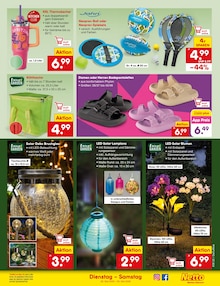 Blumen im Netto Marken-Discount Prospekt "Aktuelle Angebote" mit 60 Seiten (Augsburg)