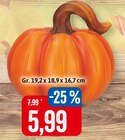 Deko-Kürbis Angebote bei Kaufhaus Stolz Kiel für 5,99 €