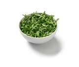 Rucola  im aktuellen Lidl Prospekt für 0,75 €