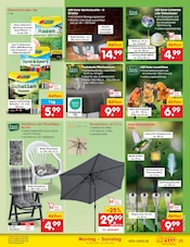 Solarlampe im Netto Marken-Discount Prospekt in Buchholz Aktueller Netto Marken-Discount Prospekt mit Solarlampe, "Aktuelle Angebote", Seite 29