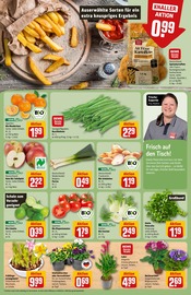 Blumen im REWE Prospekt in Rodgau Aktueller REWE Prospekt mit Blumen, "Dein Markt", Seite 7