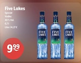 Special Vodka bei Getränke Hoffmann im Auerbach Prospekt für 9,99 €