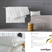 Aktueller Zurbrüggen Prospekt mit Kopfkissen, "FRÜHLINGS-BOTEN FÜR DEIN ZUHAUSE", Seite 17