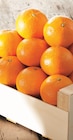 Intermarché Super Roumégoux - Promo Mandarine Bio Promo Mandarine Bio à 1,89 € dans le catalogue Intermarché Super à Roumégoux