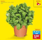 Angebot im Netto Marken-Discount Oberfischbach Prospekt Netto Marken-Discount Oberfischbach Prospekt mit im Angebot für 1,99 €