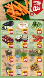 Pfanne Angebot & Preis im aktuellen REWE Prospekt Pfanne Angebot im aktuellen REWE Prospekt auf Seite 7