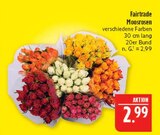 Aktuelles Moosrosen Angebot bei Marktkauf in Leipzig ab 2,99 €