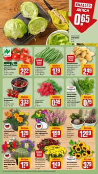 Tomaten im aktuellen REWE Prospekt (Duisburg) Tomaten im REWE Prospekt "Dein Markt" mit 26 Seiten (Duisburg)