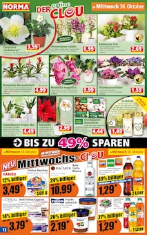 Blumen im Norma Prospekt "Mehr fürs Geld" mit 16 Seiten (Fürth)