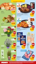 Chrysanthemen Angebot im aktuellen Penny Prospekt auf Seite 26