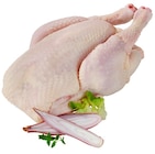 Bio ganzes Hähnchen für 1,79 € bei REWE im Angebot Bio ganzes Hähnchen im aktuellen REWE Prospekt