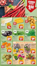 Spinat Angebote im Prospekt "Dein Markt" von REWE auf Seite 9