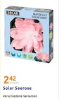 Solar Seerose von Solar im aktuellen Action Prospekt für 2,42 €