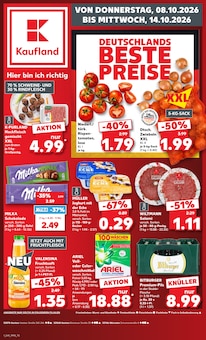Ariel im Kaufland Prospekt "Hier bin ich richtig" mit 80 Seiten (Aachen)