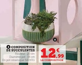 Composition de succulentes - SADVIG en promo chez Super U Composition de succulentes - SADVIG dans le catalogue Super U