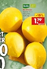 Bio Zitronen bei Netto Marken-Discount im Hof Prospekt für 1,79 €