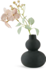 ROBERT Vase von  im aktuellen JYSK Prospekt für 1,00 €