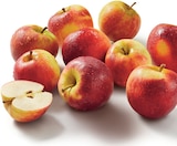 Pommes bicolores dans le catalogue Lidl