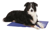 TRIXIE-Tapis rafraîchissant pour chien coloris bleu Trixie - 40 x 50 cm - Botanic TRIXIE-Tapis rafraîchissant pour chien coloris bleu Trixie - 40 x 50 cm à 11,99 € dans le catalogue Botanic