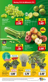 Bio im Lidl Prospekt in Hilden Aktueller Lidl Prospekt mit Bio, "LIDL LOHNT SICH", Seite 3