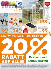 Aktueller Globus-Baumarkt Prospekt mit Pflanzen, "Immer eine Idee besser", Seite 4