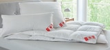 Aktuelle Bettdecke Angebote bei Matratzen Concord in Fürth Aktuelles Dreikammerkissen Angebot bei Matratzen Concord in Fürth ab 99,90 €