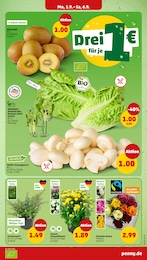 Schnittblumen Angebot & Preis im aktuellen Penny Prospekt Schnittblumen Angebot im aktuellen Penny Prospekt auf Seite 7