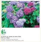 Promo Plante de terre de bruyère pot 2 litres à 6,99 € dans le catalogue Intermarché à Tain-l'Hermitage