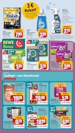 Hundefutter Angebot im aktuellen REWE Prospekt auf Seite 19