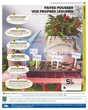 Promo Bricolage et Jardin dans le catalogue Carrefour du moment à la page 3