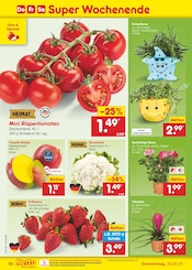 Mango im Netto Marken-Discount Prospekt in Königswinter Aktueller Netto Marken-Discount Prospekt mit Mango, "Aktuelle Angebote", Seite 44