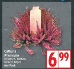Calluna Premium im aktuellen EDEKA Prospekt