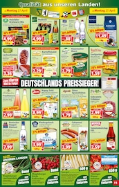 Aktueller Norma Prospekt mit Zimmerpflanzen, "Mehr fürs Geld", Seite 11