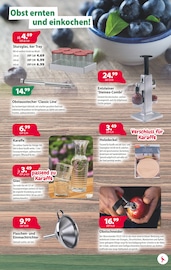 Weinglas im Kiebitzmarkt Prospekt in Wesel Aktueller Kiebitzmarkt Prospekt mit Weinglas, "Perfekte Freizeitgestaltung!", Seite 3
