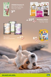Hundefutter Angebot im aktuellen Pflanzen Kölle Prospekt auf Seite 2