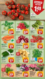 Ähnliches Angebot bei REWE in Prospekt "Dein Markt" gefunden auf Seite 7