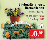 Stiefmütterchen o. Hornveilchen Angebote bei Zimmermann Celle für 0,55 €