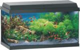 Promo Aquarium à 99,00 € dans le catalogue Maxi Zoo à Vendenheim