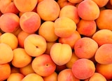 Norma Tinqueux - Promo Abricots Promo Abricots à 1,74 € dans le catalogue Norma à Tinqueux