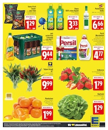 Blumen im EDEKA Prospekt "Wir lieben Lebensmittel." mit 30 Seiten (Augsburg)