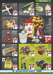 Ähnliche Angebote wie Erdbeerpflanzen im Prospekt "Wir lieben Lebensmittel!" auf Seite 9 von E center in Jena