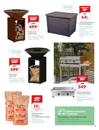 Offre Plancha dans le catalogue Truffaut du moment à la page 9